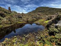 A pool of water in the foreground, with a mountain behind it